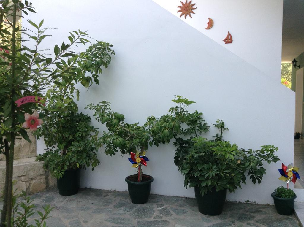 Appartement Smile's Tsilivi (Zakynthos)